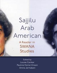 Critical Arab American Studies