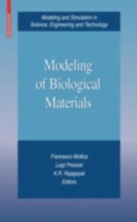 Modeling and Simulation in Science, Engineering and Technology