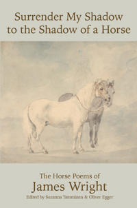 Surrender My Shadow to the Shadow of a Horse