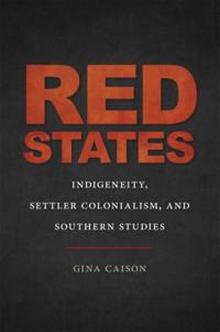 The New Southern Studies