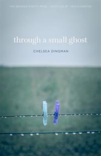 The Georgia Poetry Prize