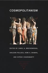 a Public Culture Book
