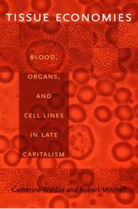 Science and Cultural Theory