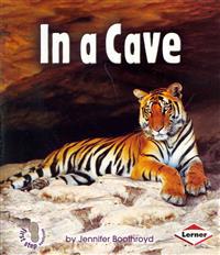 In a Cave