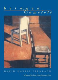 Drue Heinz Literature Prize