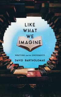 Composition, Literacy, and Culture