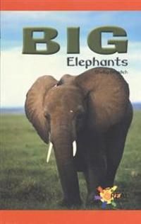 Braidich, S: Big Elephants