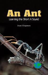 An Ant