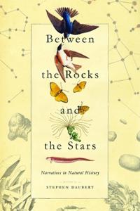 Between the Rocks and the Stars