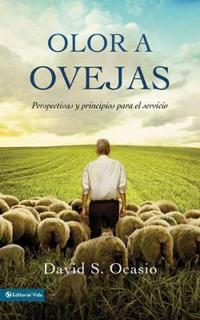 Olor a ovejas: Perspectives and Principles for Service