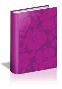 Santa Biblia Thompson/ The Thompson Student Bible
