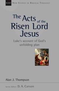Bokomslag för "The Acts of the Risen Lord Jesus"