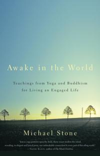 Awake in the World