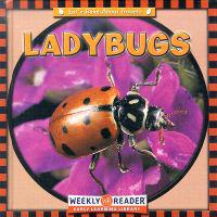 Bokomslag för "Ladybugs"