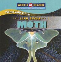 The Life Cycle of a Moth