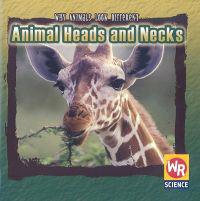 Animal Heads And Necks