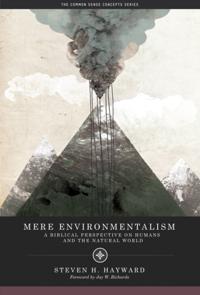 Values and Capitalism
