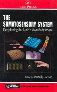 Bokomslag för "The Somatosensory System"