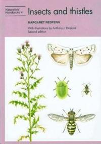 Insects and thistles