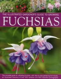 Illus Gardener's Guide to Growing Fuchsias