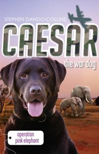 Caesar the War Dog