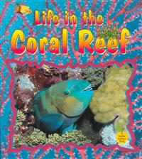 Life in the Coral Reef