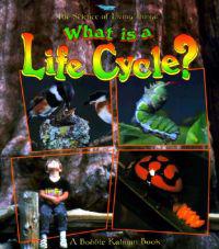 What Is A Life Cycle?