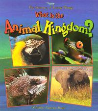 What Is The Animal Kingdom?