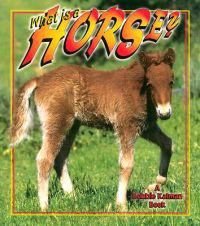 What Is A Horse?