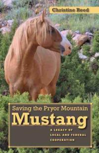 Saving the Pryor Mountain Mustang