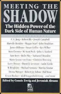 Meeting the shadow - the hidden power of the dark side of human nature