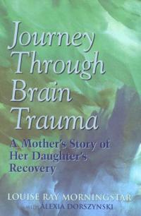 Journey Through Brain Trauma