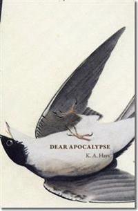Dear Apocalypse