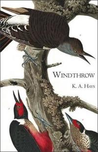 Windthrow