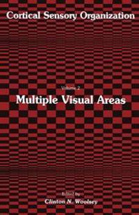 Multiple Visual Areas