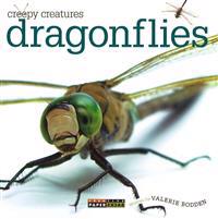 Dragonflies