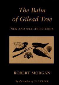 The Balm of Gilead Tree