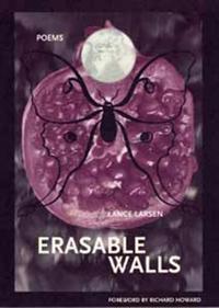 Erasable Walls