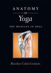 Anatomy of Yoga