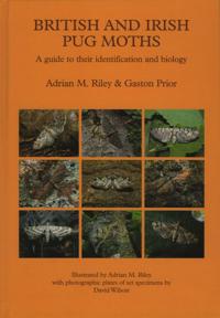 British and Irish Pug Moths – a Guide to their Identification and Biology