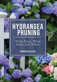Hydrangea Pruning