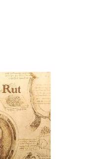 The Rut