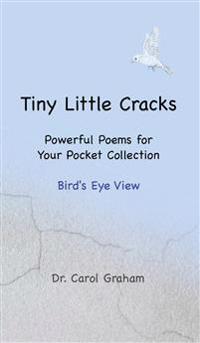 Tiny Little Cracks