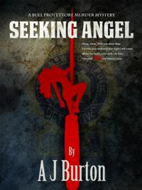 Seeking Angel