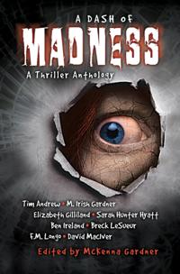 Dash of Madness: A Thriller Anthology
