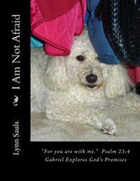 I Am Not Afraid: "For you are with me." Psalm 23:4 Gabriel Explores God's Promises