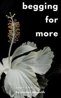 Begging For More: Queer Kink Erotica