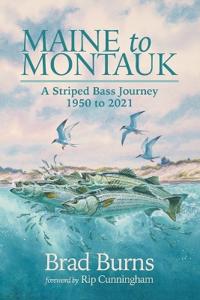 Maine to Montauk