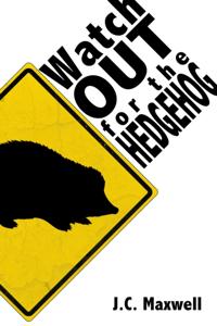 Watch Out For The Hedgehog