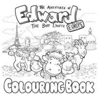 The Adventures of Edward the Baby Liraffe